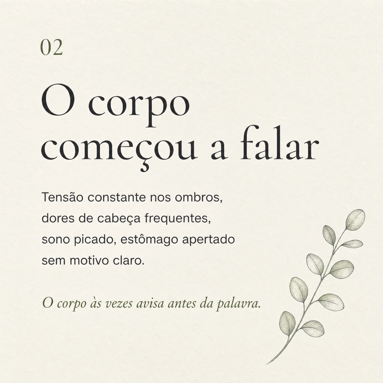 Carrossel · card 02